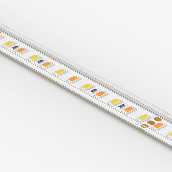 10w 120 leds per metre Tunable White LED Strip